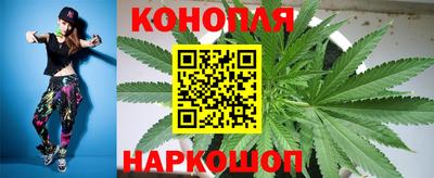 сатива Кимры