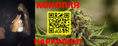 трава Кингисепп