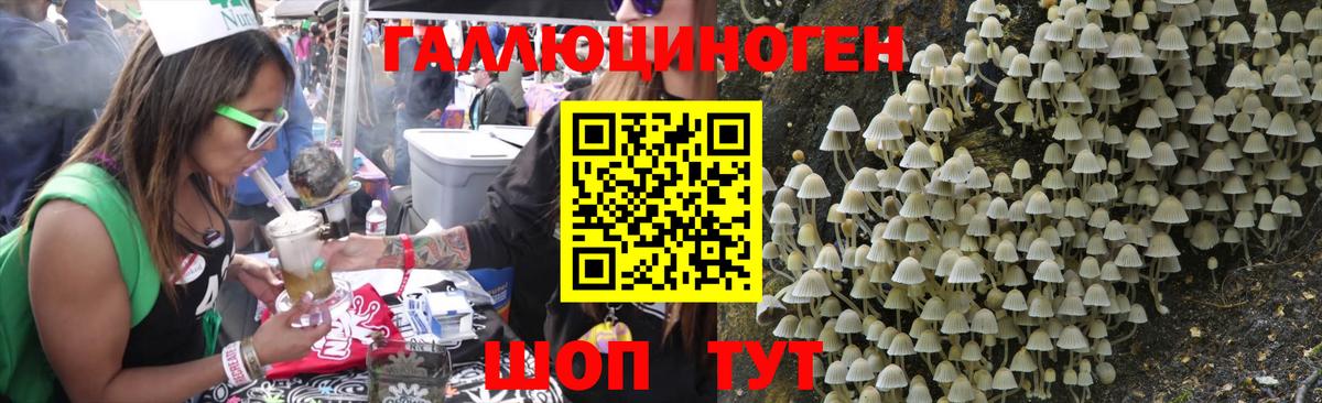 Псилоцибиновые грибы GOLDEN TEACHER  Вход с VPN  Юрга 