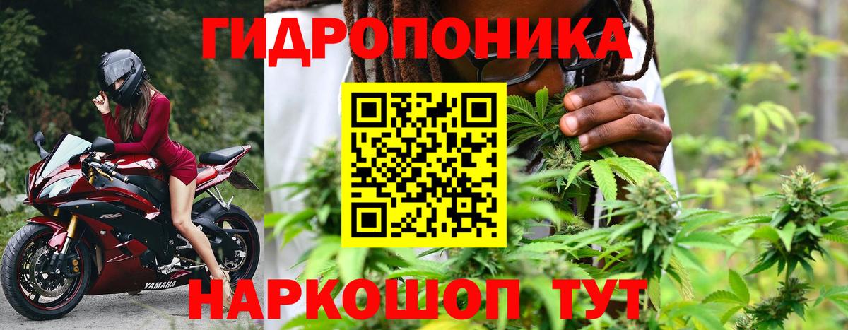 Бошки Шишки план Юрга