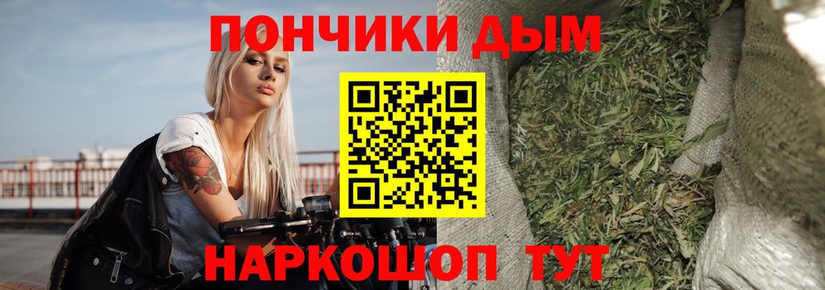 Шишки марихуана сатива  Марихуана сатива  Юрга  Вход с VPN  Марихуана сатива  Конопля Amnesia 